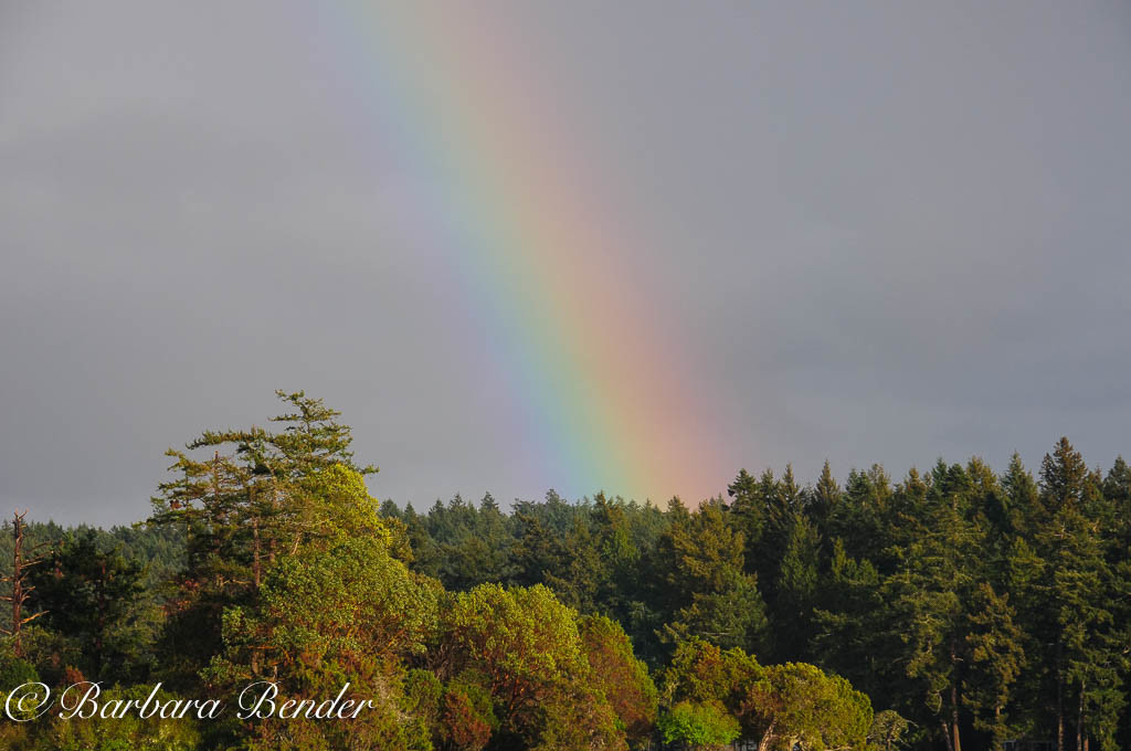 Rainbow over Posey Island