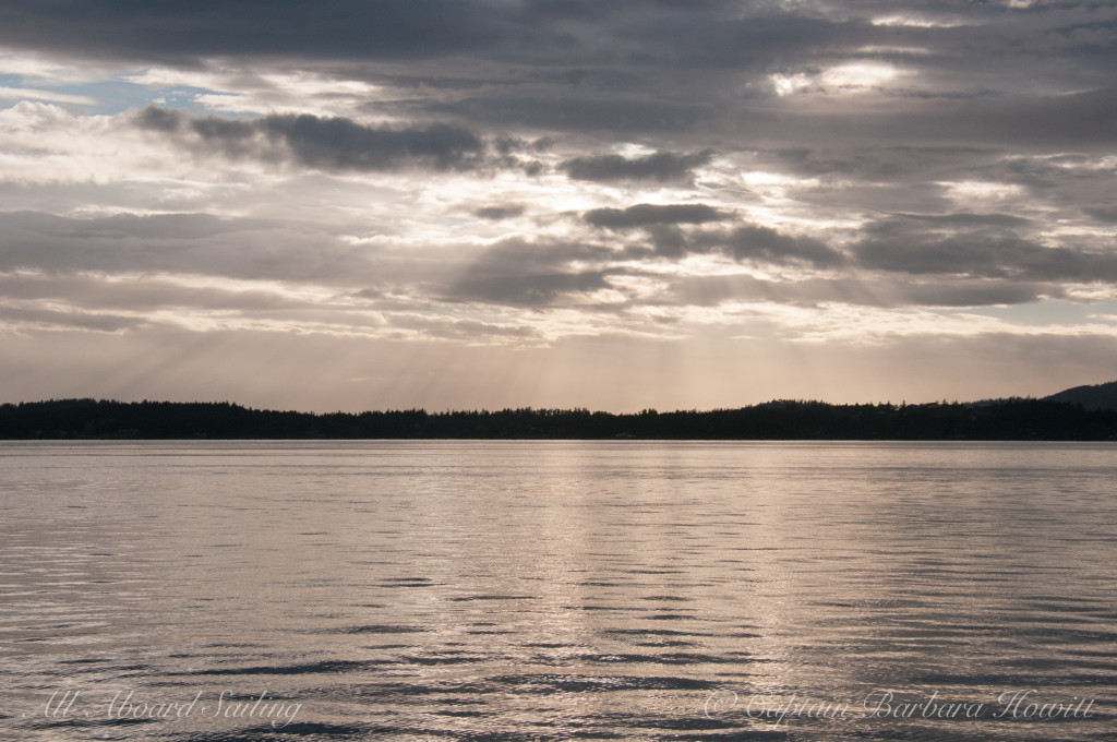 Sailing back to Friday Harbor in the sunset