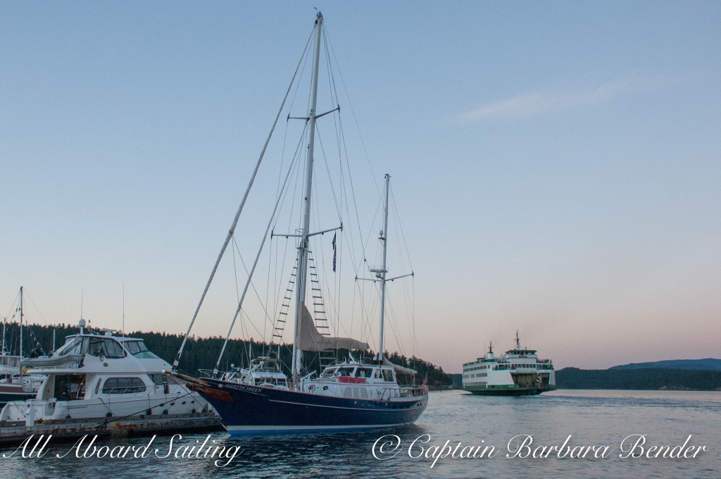 S/V Martin Sheen, a Sea Shepherd vessel, docked overnight in Friday Harbor