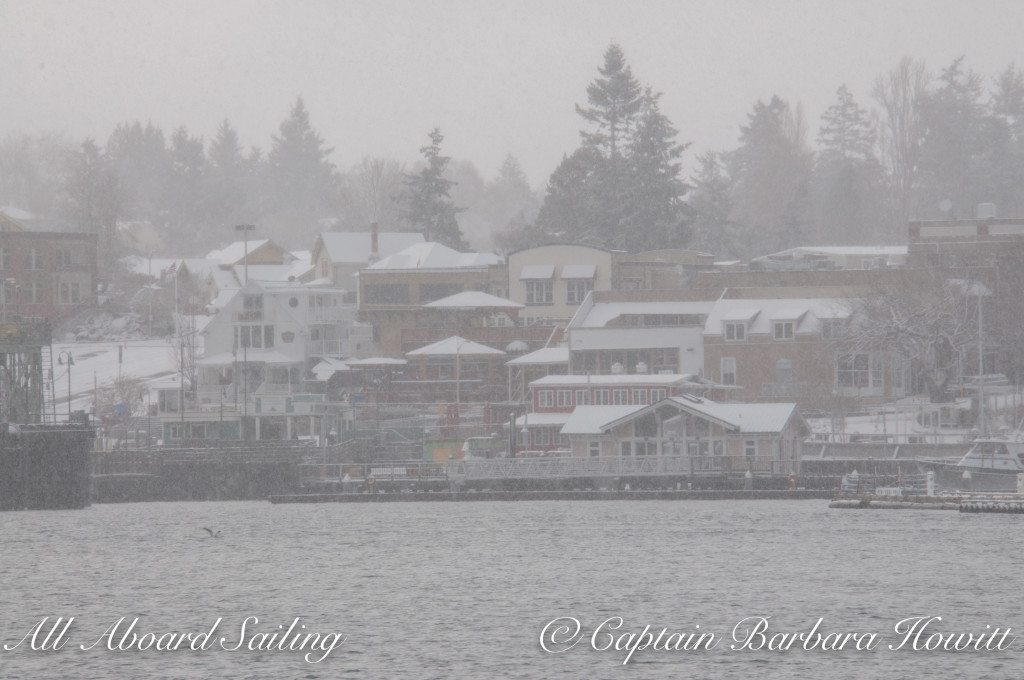 Friday Harbor in the snow