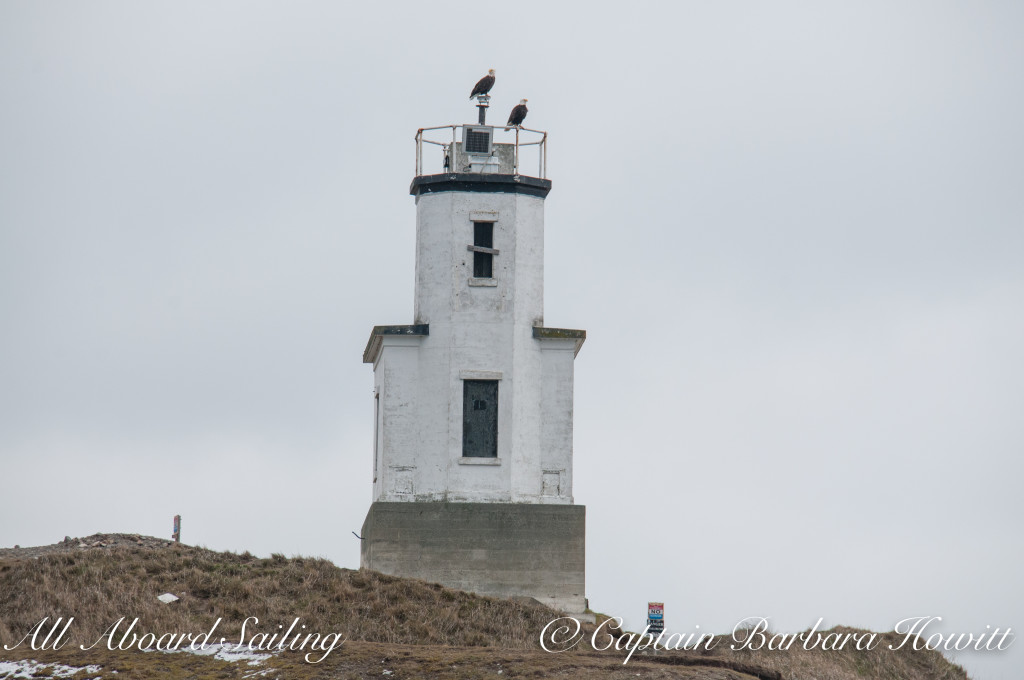 Bald eagles on Cattle Point Lighthouse