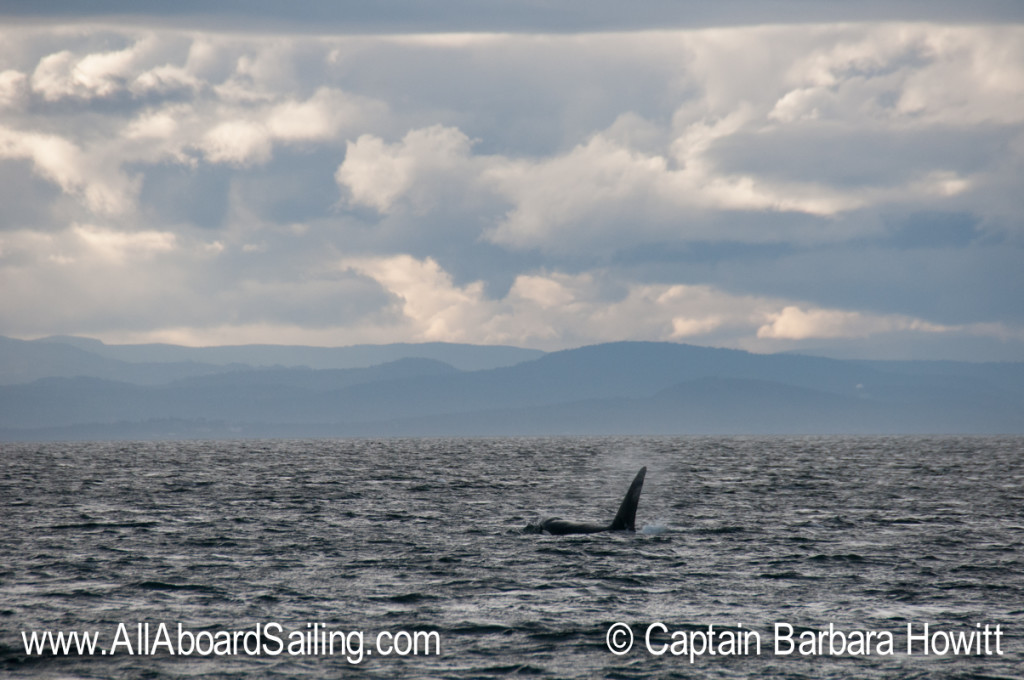 T49A1 heading west Strait of Juan de Fuca