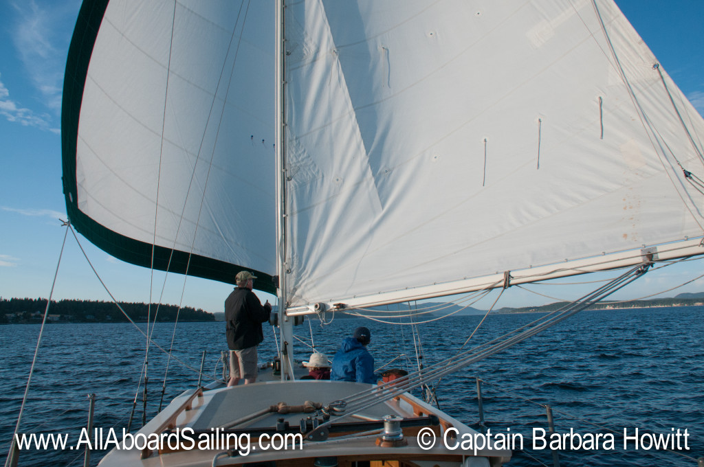 Downwind sailing wing on wing