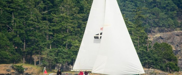 Around Lopez with Transient Orcas