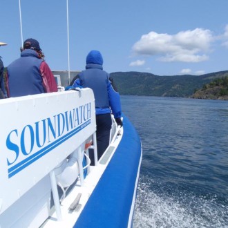 Soundwatch Skipper Whale Watching