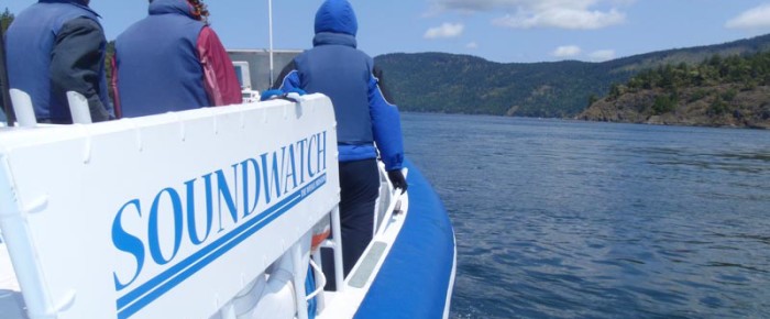 Soundwatch Skipper Whale Watching