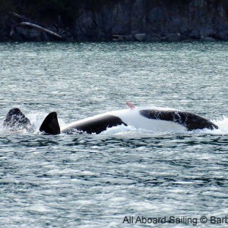 Rosario Strait – Anacortes