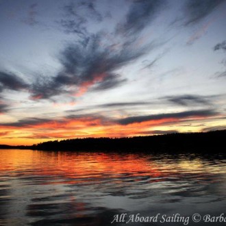 Minke whales foraging and around San Juan Island for a spectacular sunset