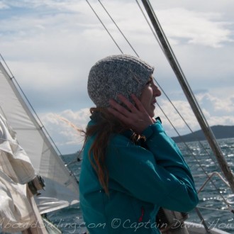 March winds and sail with Humpback Whale