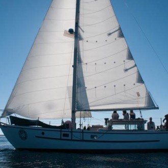 Whale Watching Sailing from Friday Harbor to Mouat Point