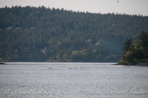 T49As pass through the narrow Pole Pass of Orcas Island