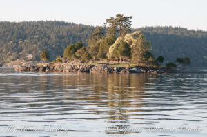 Little McConnell Island in sunset light, Sailing San Juan islands