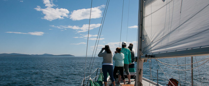 Full Day Sail with the J-16s