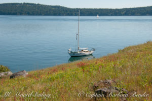 Peniel at anchor while we went ashore on Yellow Island