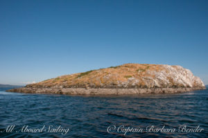 Mandate Island and the cormorant colony