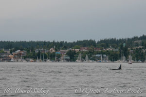 T93 passing Friday Harbor