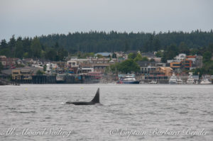 T93 passing Friday Harbor