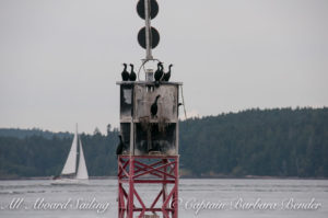Cormorants on Reid Rock Marker