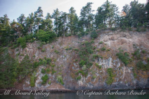 Spieden Island