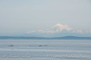 Orcas with Mount Baker