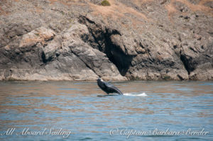 L118, Jade, breaches near Kellett Bluff