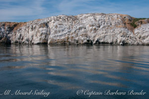 Mandarte Island
