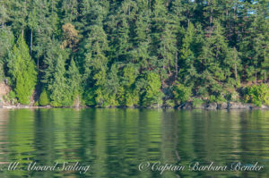 Reflections of Spieden Island while drifting through New Channel enjoying supper cooked by Capt David