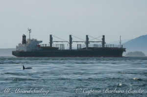 Commercial shipping very loud on the hydrophone