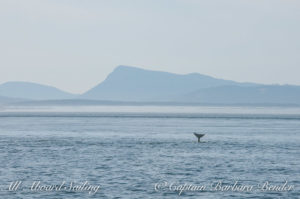 This ain't Sea World - it's as real as it gets