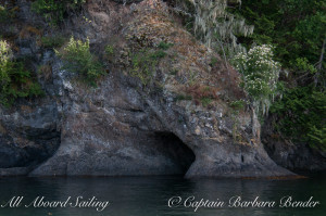 Elephant Rock