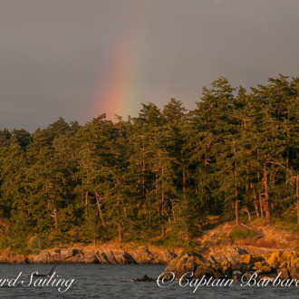 Transient Orca whales – the T73A’s visit Friday Harbor