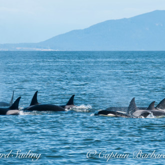 T Party Strait of Georgia 8/10/16