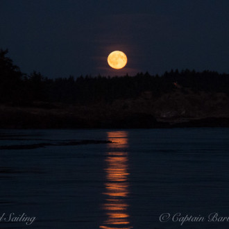 sunset/moonrise sail with J16’s