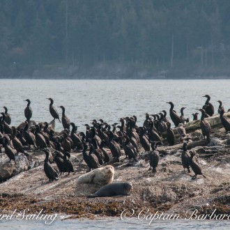 Sailing the San Juans in September