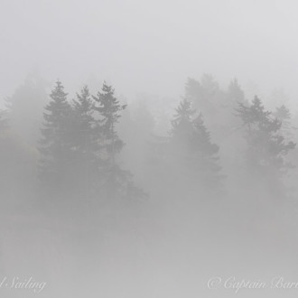 Sailing through the fog