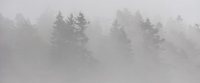 Sailing through the fog