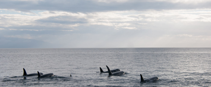 Capt Barbara’s family visits San Juan Island