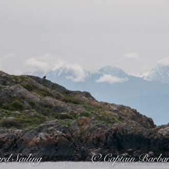 Castle Rock and the South Lopez peninsula