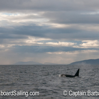 Sailing with T49As and T65As to the RA Buoy