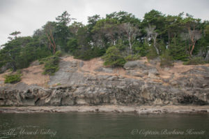 San Juan Islands Sailing charters Honeycomb sandstone of Patos Island