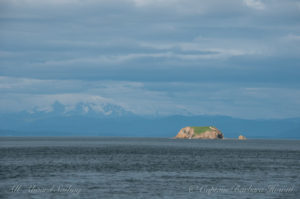 San Juan Islands All Aboard Sailing charters Bare Island