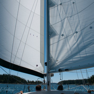 Minke whale milling near Iceberg Point, Lopez Island