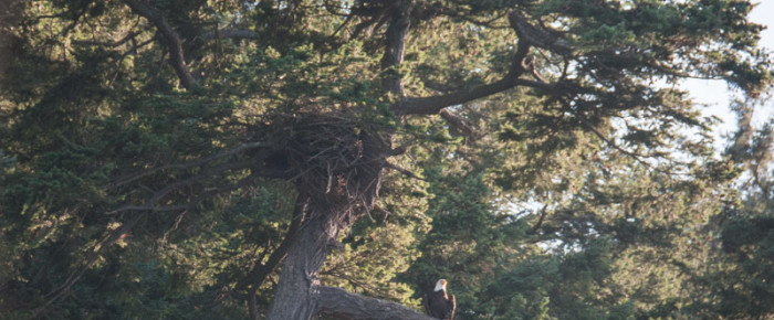 T37As and T51 near Cherry Point – circumnav Orcas Island