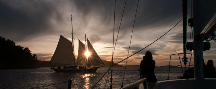 Short sail extended