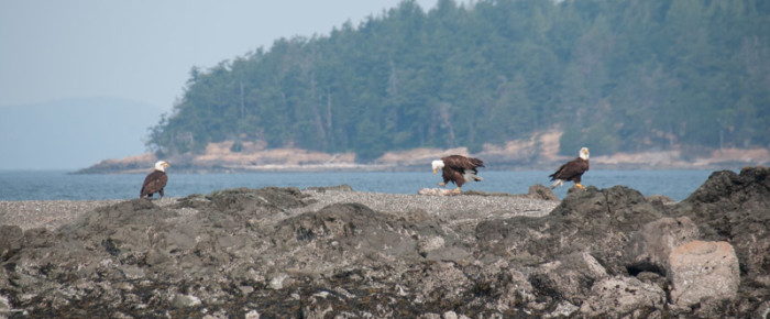 Sailing around north end of San Juan Islands