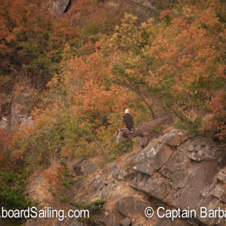 Drifting through the Cactus Islands