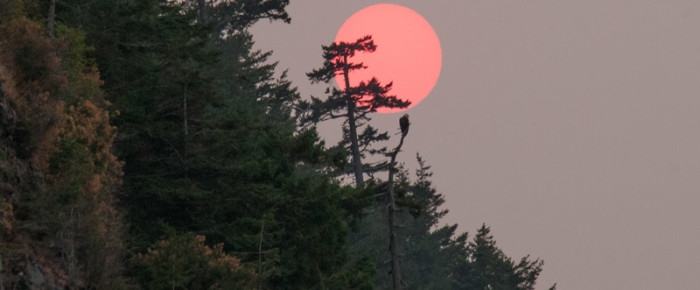 Multi-day family trip to Orcas Island