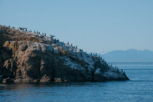 Bare Rock National Wildlife Refuge
