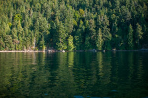 Forest reflections of Presidents Channel, Orcas Island