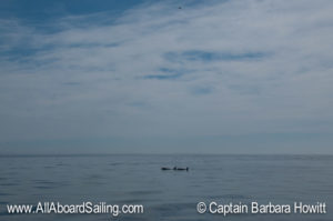 Drone photogrammetry with L4s